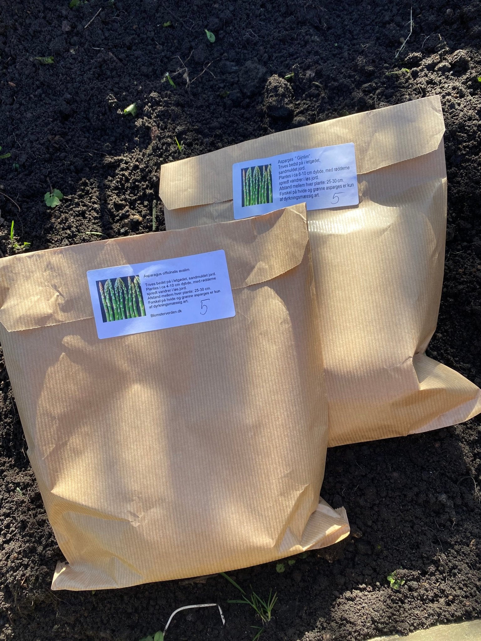 Dyrkning af asparges - Sådan får du lækre hjemmedyrkede asparges! | Blomsterverden